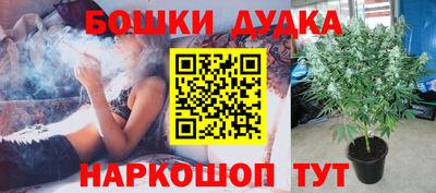 гидропоника Новодвинск