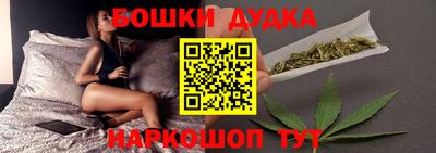 a pvp Новозыбков