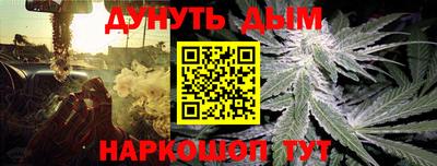 a pvp Новозыбков
