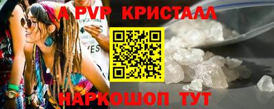 a pvp Новозыбков