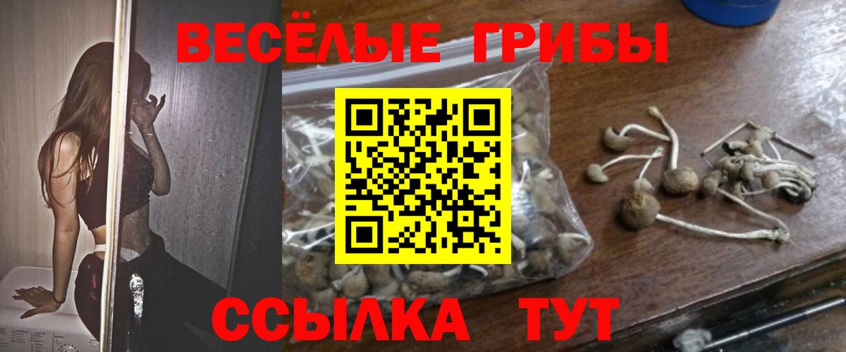 где продают наркотики  Псилоцибиновые грибы Psilocybine cubensis  Галлюциногенные грибы Magic Shrooms  Вход с VPN  Севастополь 